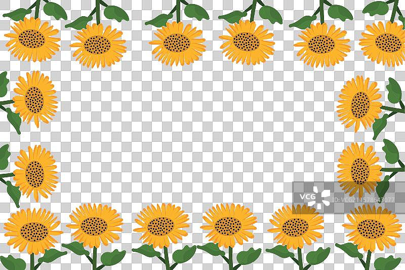 快乐的向日葵与绿色叶子形成一个图片素材