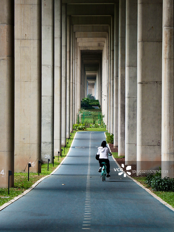 高架桥下的绿道图片素材