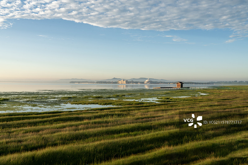 中国河北省沽源天鹅湖的夏日清晨图片素材