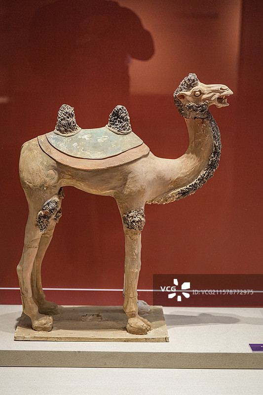 唐代 彩绘立驼 韦贵妃墓 昭陵博物馆图片素材