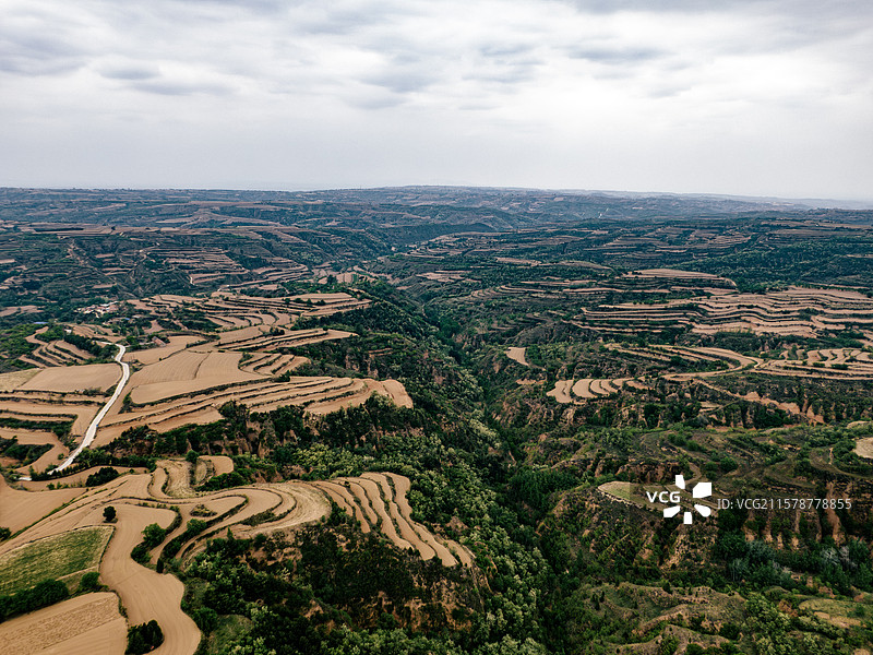 黄河边的梯田图片素材