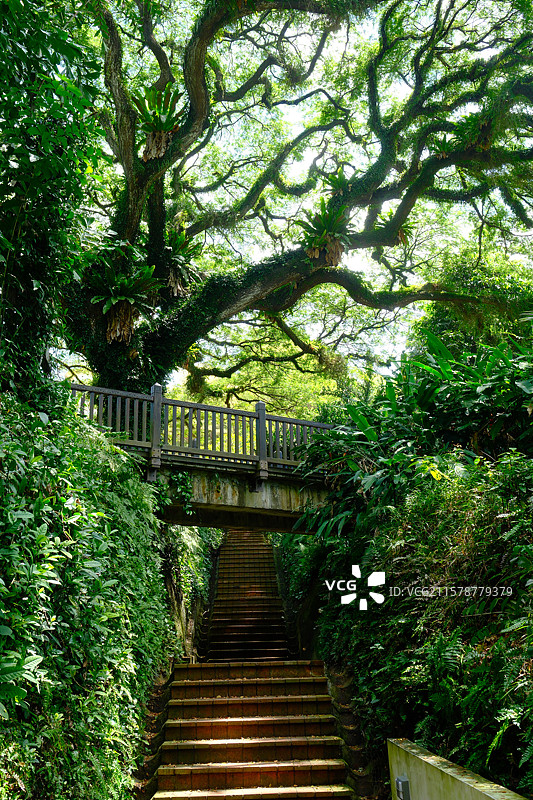 v绿野仙踪图片素材