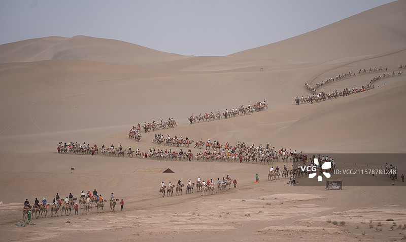 敦煌鸣沙山骆驼队图片素材