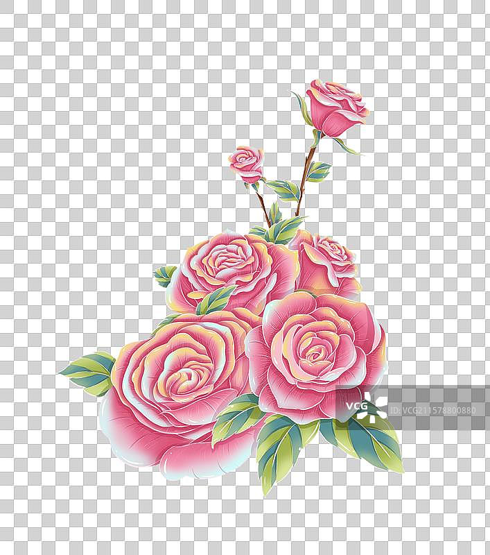 粉色系玫瑰花插画图片素材