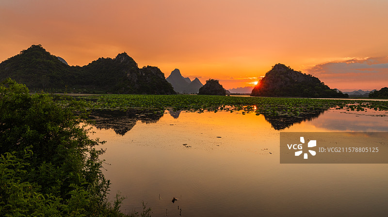 西荒湿地的荷花与落日：夏季的普者黑风景区西荒湿地，醉人的夕照、晚霞、碧绿的荷塘，是旅行者的热衷地。图片素材