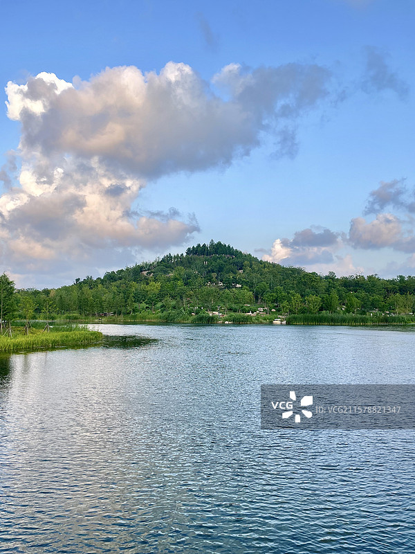 上海世博文化公园双子山夏天蓝天白云风光图片素材