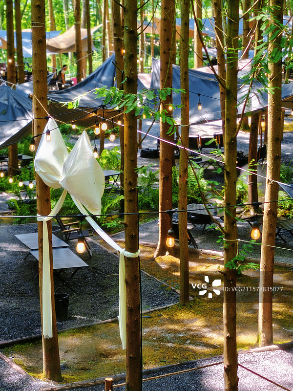 都江堰营地里的蝴蝶结图片素材