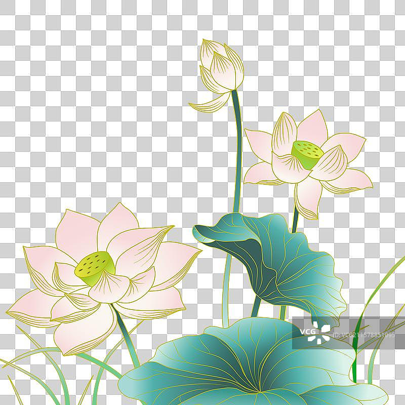 二十四节气插画元素夏季池塘荷花荷叶图片素材