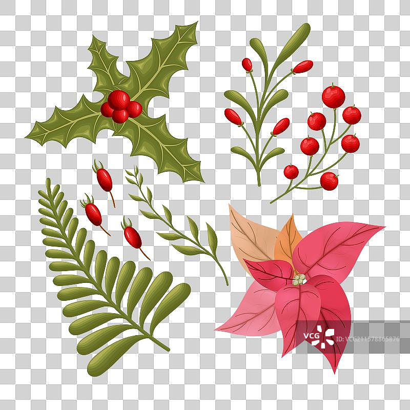 自然圣诞元素组合图片素材