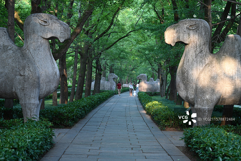 南京明孝陵景区， 朱元璋陵墓，世界文化遗产，南京旅游，石象路图片素材