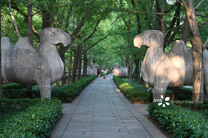 南京明孝陵景区， 朱元璋陵墓，世界文化遗产，南京旅游，石象路图片素材