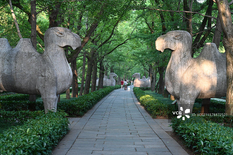 南京明孝陵景区， 朱元璋陵墓，世界文化遗产，南京旅游，石象路图片素材
