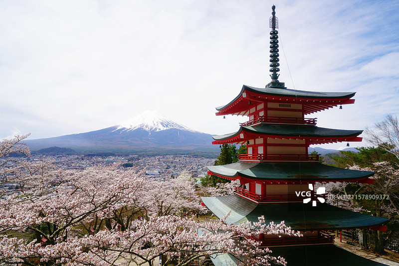 新仓山浅间公园遥望富士山图片素材