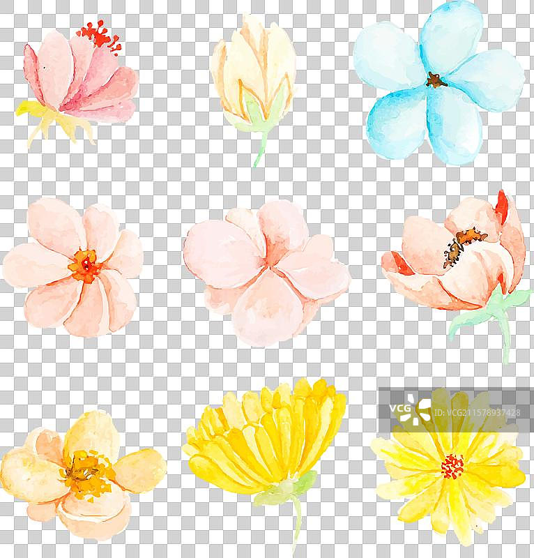 九种水彩春花系列图片素材