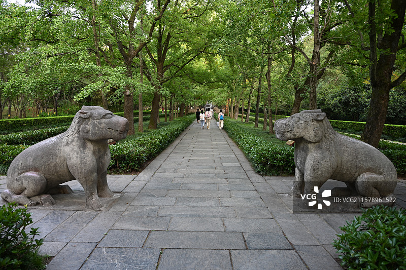 南京明孝陵景区， 朱元璋陵墓，世界文化遗产，南京旅游，石象路图片素材