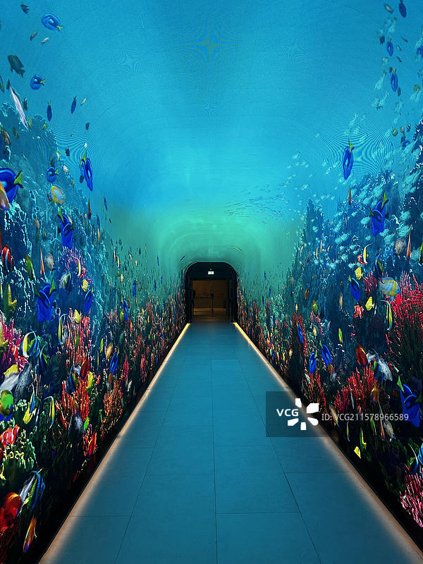 亚洲阿联酋迪拜哈利法塔｜棕榈岛图片素材