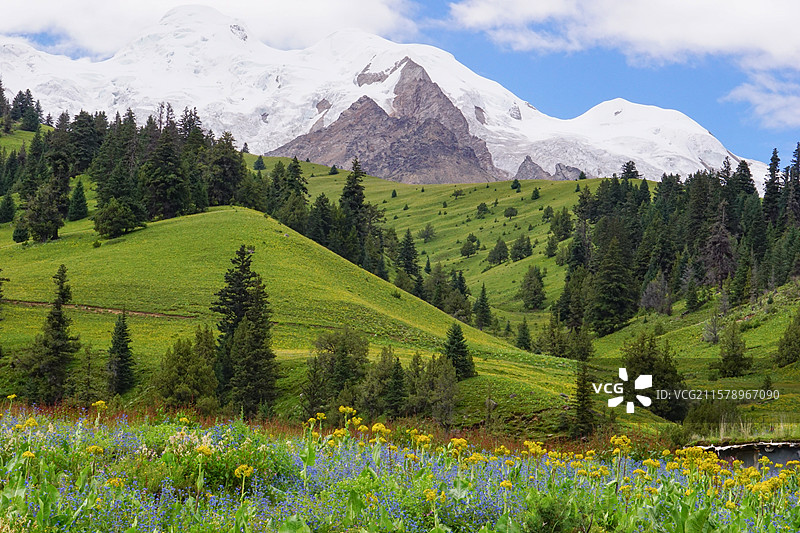 夏日川西，格聂南线沿途美丽的自然风光，雪山、草原、野花、森林图片素材