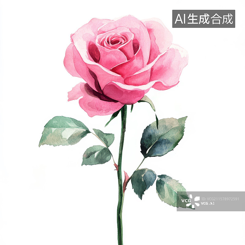 【AI数字艺术】粉色水彩玫瑰花插画图片素材
