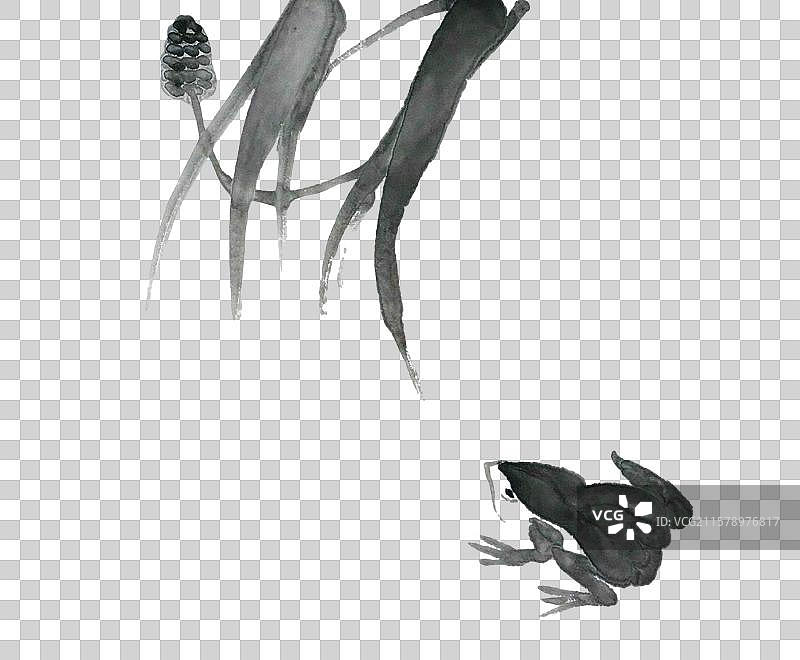 水墨画 元素 手绘 中国画 水墨 插画 夏天 小暑 大暑 池塘 青蛙 处暑图片素材