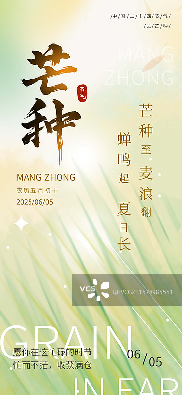 二十四节气之芒种节气海报图片素材