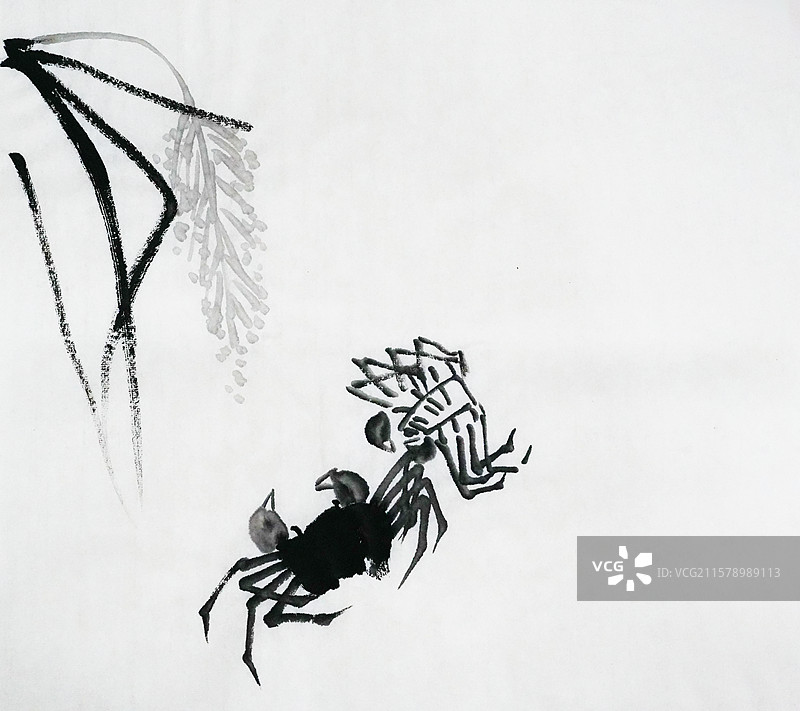 手绘 中国画 水墨 高雅 插画 稻田蟹 螃蟹 大闸蟹 阳澄湖图片素材