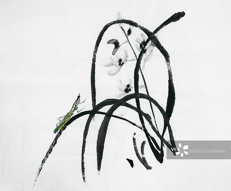 手绘 中国画 水墨 高雅 插画 兰花 昆虫 蚂蚱图片素材