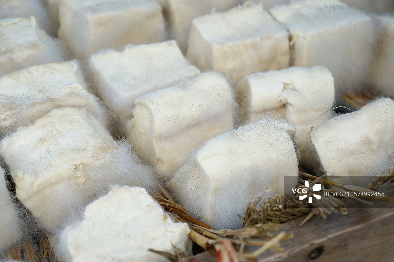 方寸之间的霉豆腐图片素材