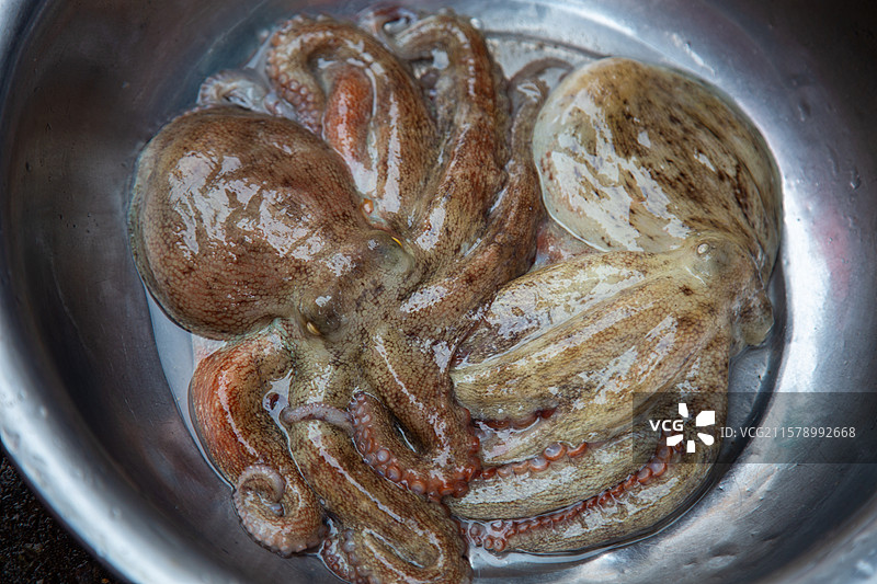 金属碗中的章鱼特写图片素材