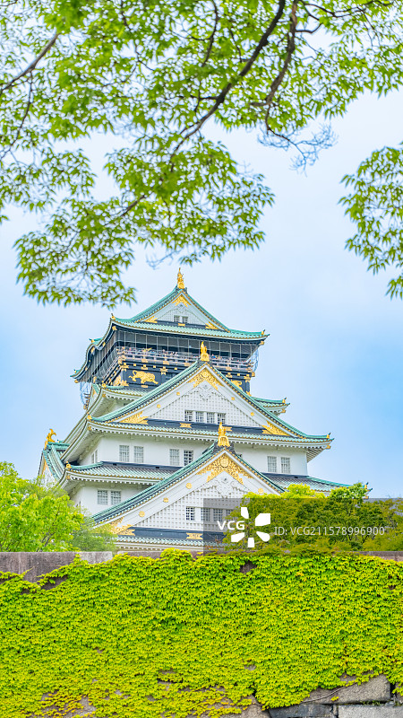 日本大阪城全景展示图片素材