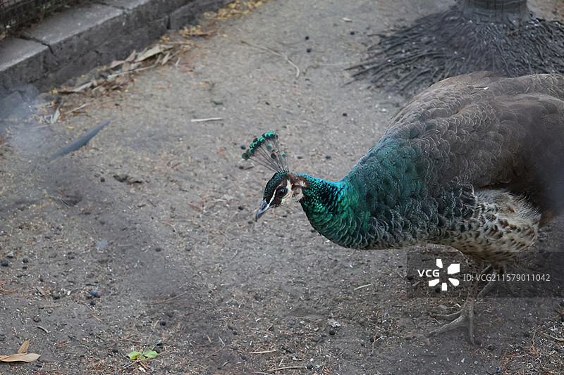 民族村阿昌族傣族白族彝族纳西族佤族藏族基诺族拉祜族布朗族哈尼族德昂族，景颇族，傈僳族，村寨，摩梭之家图片素材