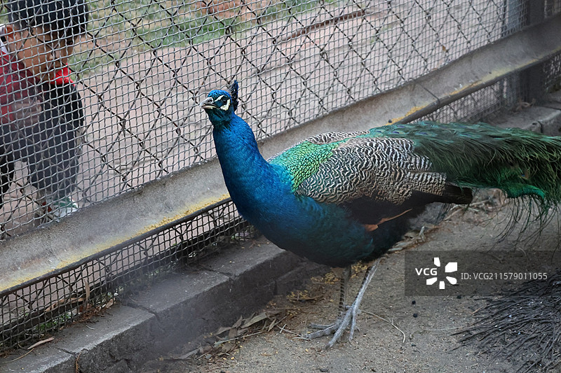 民族村阿昌族傣族白族彝族纳西族佤族藏族基诺族拉祜族布朗族哈尼族德昂族，景颇族，傈僳族，村寨，摩梭之家图片素材