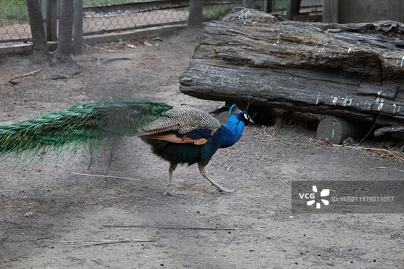 民族村阿昌族傣族白族彝族纳西族佤族藏族基诺族拉祜族布朗族哈尼族德昂族，景颇族，傈僳族，村寨，摩梭之家图片素材