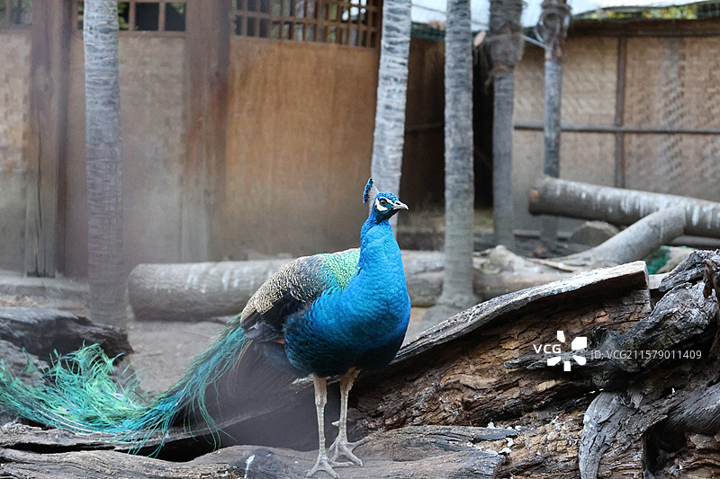 民族村阿昌族傣族白族彝族纳西族佤族藏族基诺族拉祜族布朗族哈尼族德昂族，景颇族，傈僳族，村寨，摩梭之家图片素材