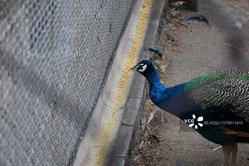 民族村阿昌族傣族白族彝族纳西族佤族藏族基诺族拉祜族布朗族哈尼族德昂族，景颇族，傈僳族，村寨，摩梭之家图片素材