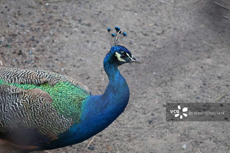 民族村阿昌族傣族白族彝族纳西族佤族藏族基诺族拉祜族布朗族哈尼族德昂族，景颇族，傈僳族，村寨，摩梭之家图片素材