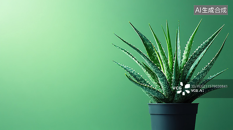 【AI数字艺术】芦荟背景图片素材