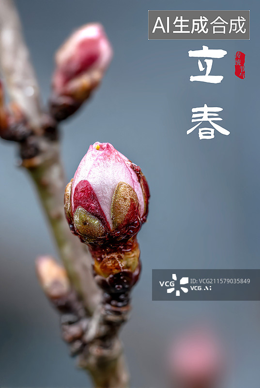 【AI数字艺术】树枝上有一朵粉红色的小花蕾图片素材