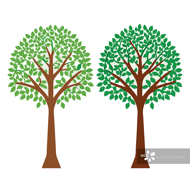 树木的集合图片素材