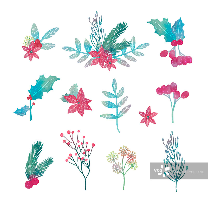 水彩圣诞花卉合集图片素材