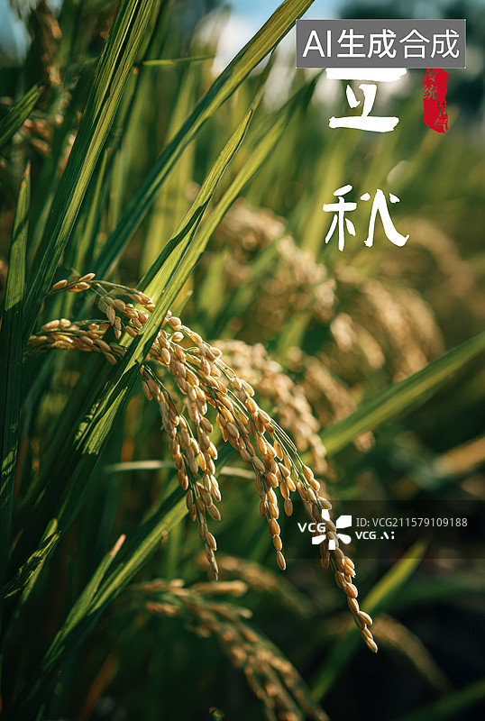 【AI数字艺术】一片长满绿草的稻田图片素材