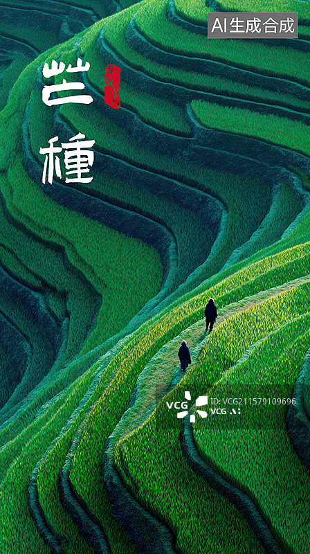 【AI数字艺术】两人走在绿色稻田里图片素材