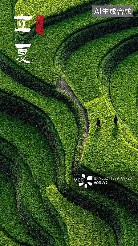 【AI数字艺术】两人走在绿色稻田里图片素材