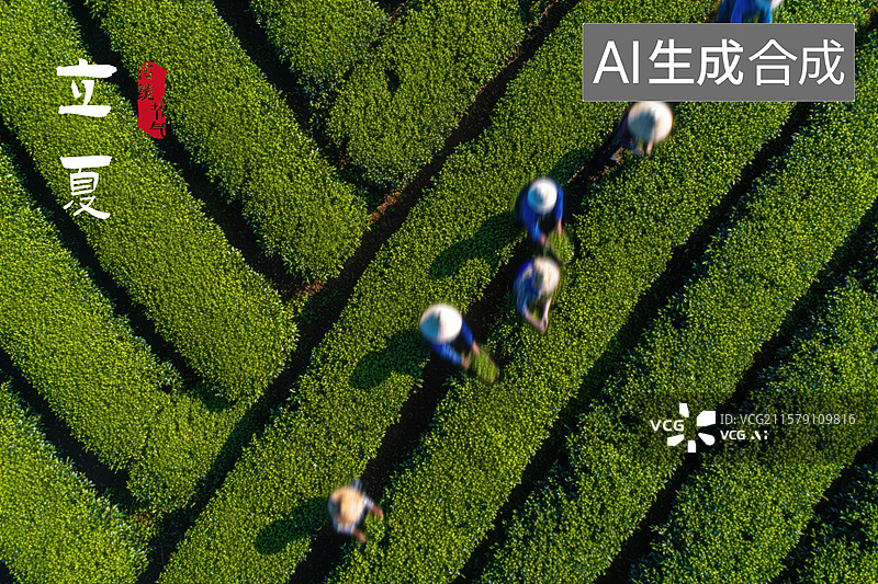 【AI数字艺术】一群人在一片绿色植物田里工作图片素材