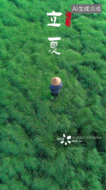 【AI数字艺术】一个人站在长满高草的田野里图片素材