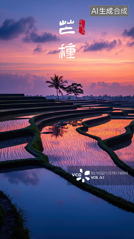 【AI数字艺术】稻田上空美丽的日落图片素材
