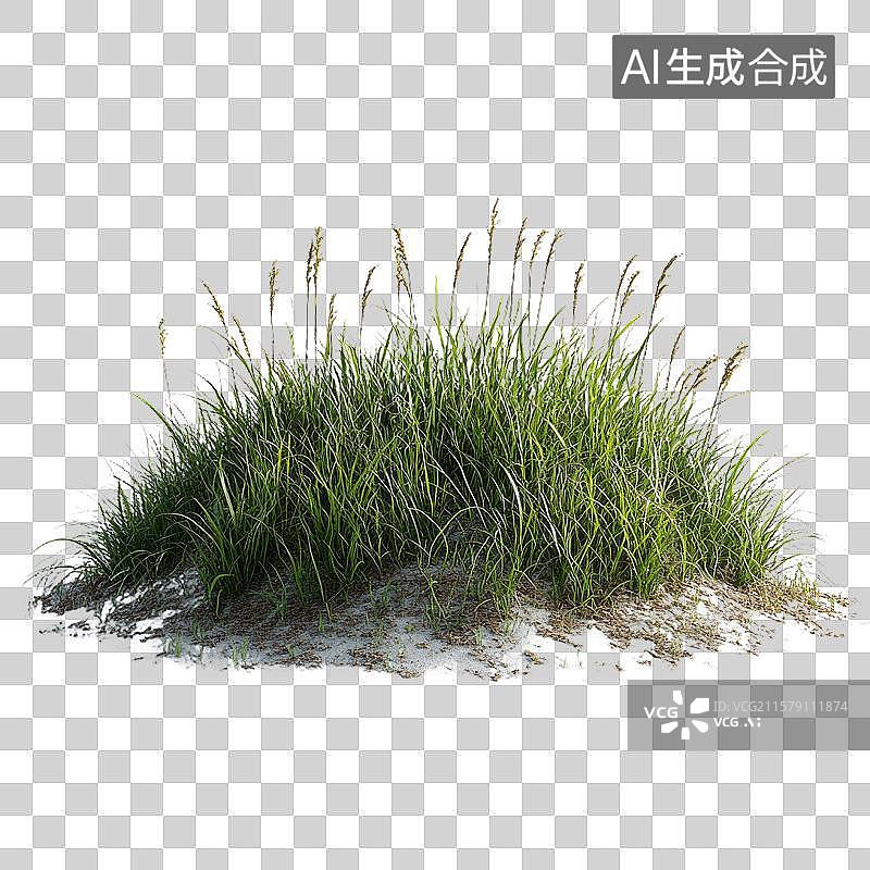【AI数字艺术】丛生绿草与沙地图片素材
