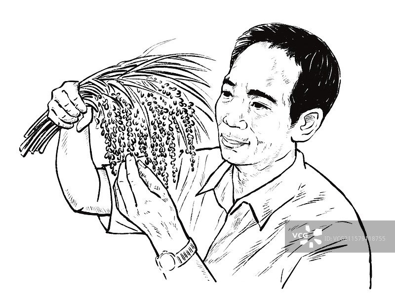 黑白插画 袁隆平 杂交水稻 粮食 人物 青年时期 半身像 世界 科研 成就 农作物  农业经济图片素材