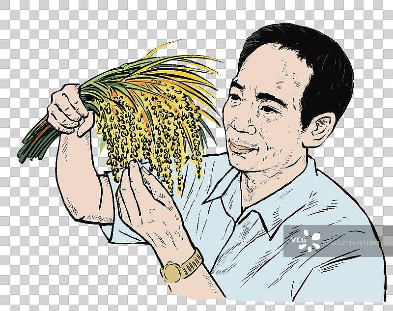 黑白插画 袁隆平 杂交水稻 粮食 人物 青年时期 半身像 世界 科研 成就 农作物  农业经济图片素材
