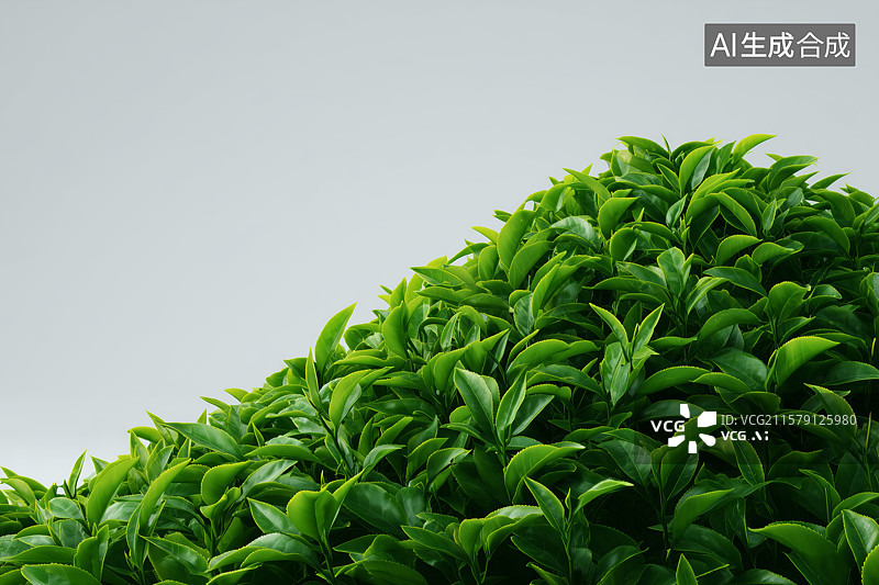 【AI数字艺术】一堆新鲜的茶叶图片素材