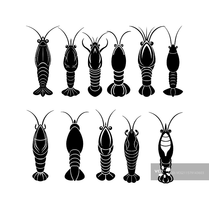 龙虾鱼轮廓 4图片素材